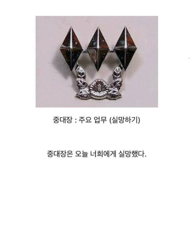 중대장은 너희에게 실망했다