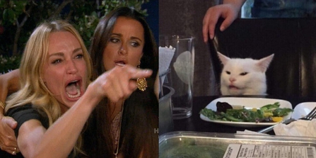 Woman yelling at a cat