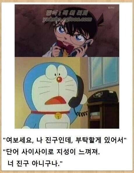단어 사이사이로 지성이 느껴져