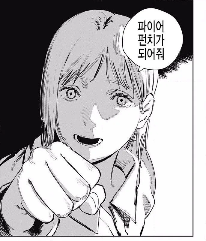 파이어 펀치가 되어줘