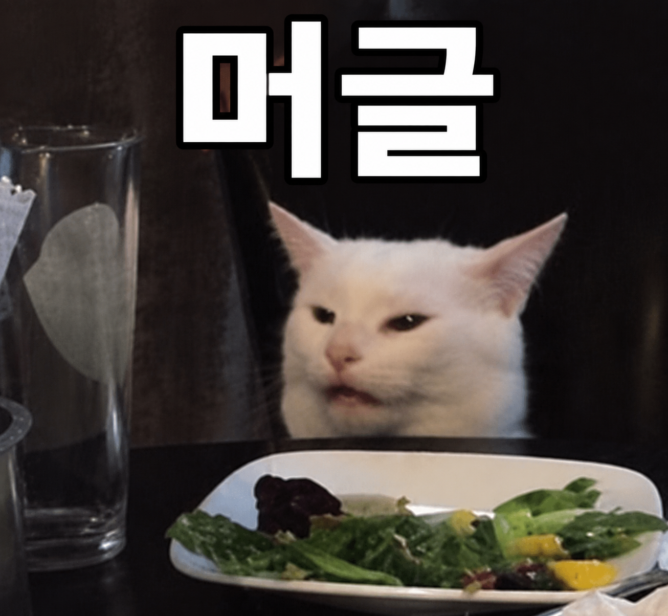 머글 밈 이미지